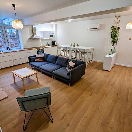 Douceur, Elegance Au Coeur D'Albi Apartment Bagian luar foto