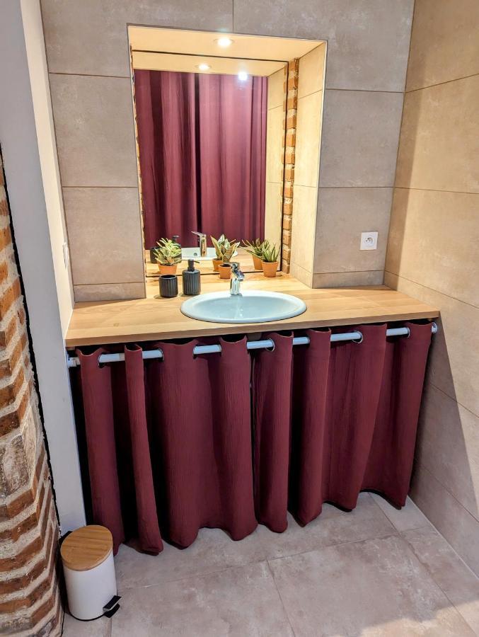 Douceur, Elegance Au Coeur D'Albi Apartment Bagian luar foto